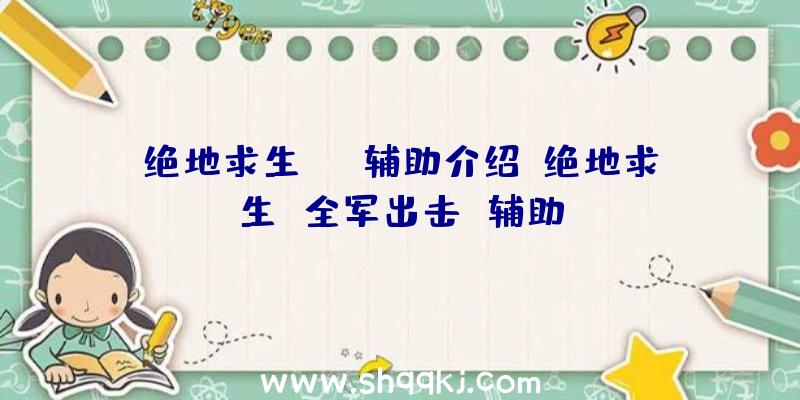 绝地求生xyz辅助介绍、绝地求生